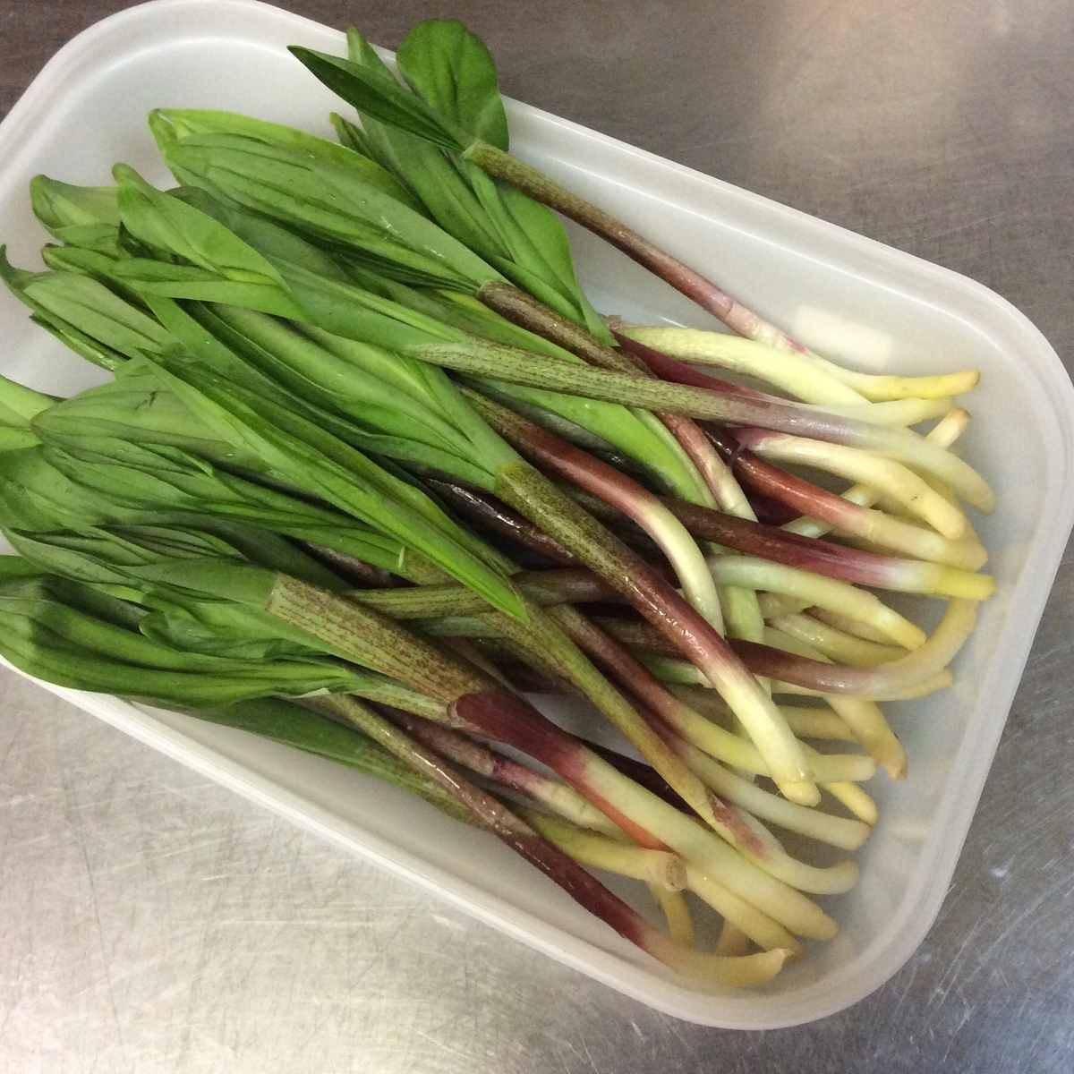 春の恵み 満載 牡蠣小屋居酒屋 なごみや一夜