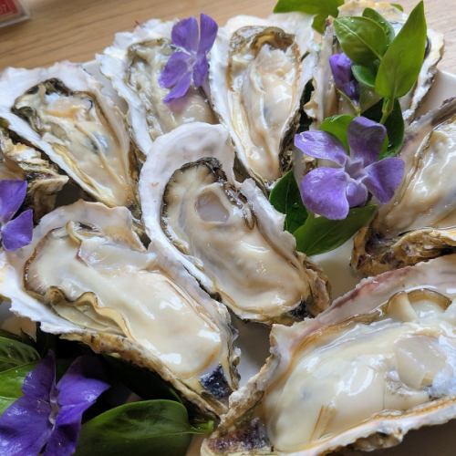 選べる10個　【生、焼き、蒸し】お好みでチョイスして下さい