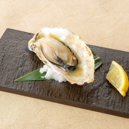 本日の焼き牡蠣