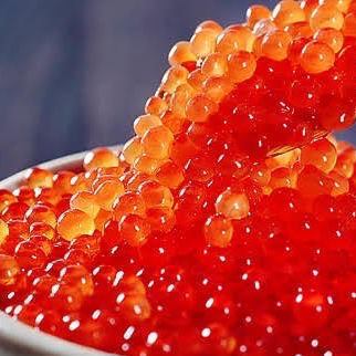 【海鮮尽くしコース】屋形舟の海鮮5種盛り~ミニいくら丼等!全8品飲み放題付き!