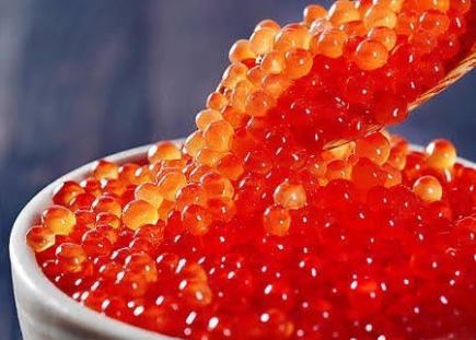 【海鮮尽くしコース】屋形舟の海鮮5種盛り～ミニいくら丼等！全8品飲み放題付き！