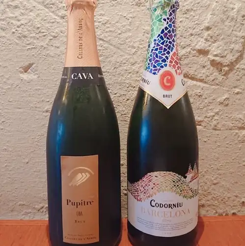 スペイン産スパークリングワイン「CAVA」