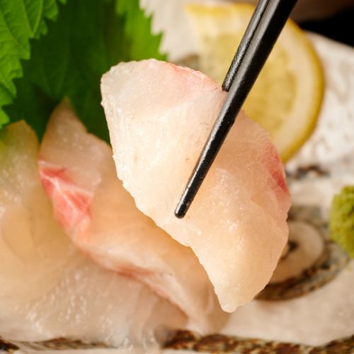 Red snapper