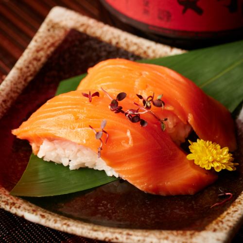 Salmon