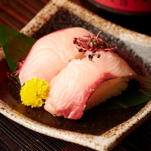 greater amberjack
