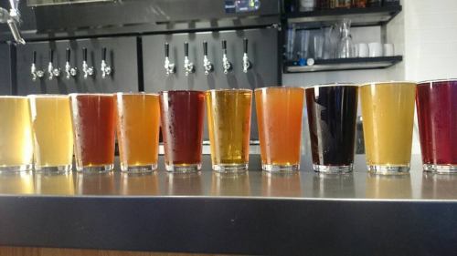 【厳選】国内の樽生クラフトビールを常時８種ご用意！