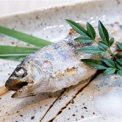 明洞名物!!やまめの炉端焼き