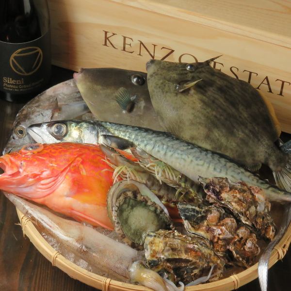 広島県産牡蠣、本鮪、瀬戸内の旬の鮮魚をご用意
