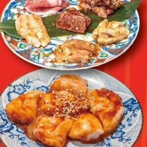 【大満足必至】特撰ホルモン希少部位や厚切りハラミを満喫!全16品・120分飲み放題付