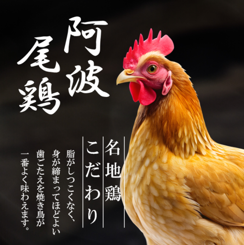 ［こだわりのブランド地鶏を堪能］徳島県産:阿波尾鶏