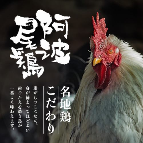 [엄선한 브랜드 토종 닭을 만끽할] 도쿠시마 현산 : 아 尾鶏