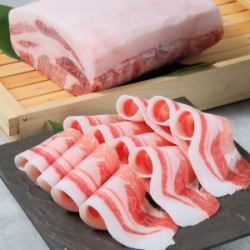 토카치 로얄 망갈리차 로스