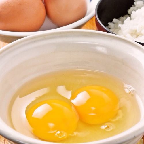 【수량 한정】도사 지로 계란 계 밥(계란 2개)