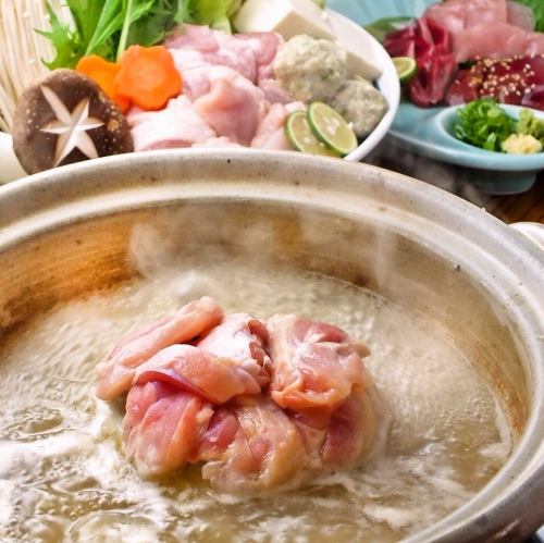 Jiro's specialty! Tosa Hachikin chicken mizutaki with plenty of collagen