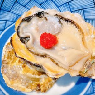 Raw oysters