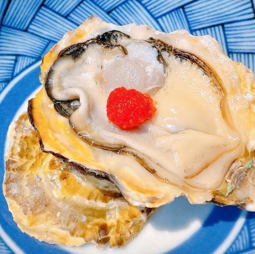 Raw oysters
