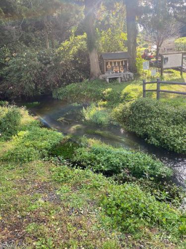 這次活動邀請了鳥取縣大山市久米櫻酒造的釀酒大師藤兒美和。我們很高興地宣布，細節最終已經確定。
您可以透過 LINE 或電話進行預訂。

8/31(週日)
香川民宿宣洩之旅
宮本小菜店

@kumezakura_shuzo
@miwa303

[第 1 部分]
小組
時間：13:00-15:00
容納人數：6人（需預約）
費用：8,800日圓（含稅）
*約5道菜+久米櫻酒
*包括給 Miwa Toji 的提示

這是一個可以享用美食、飲料並與釀酒大師交談的活動。
讓我們一起探索三輪藤二的釀酒哲學和思想的演變，同時回顧過去的釀酒歷史。

Miyamoto Deli 提供以讚岐食材和文化為基礎並使用久米櫻花酒烹調的菜餚。
如果這能成為吃飯和放鬆的時間，我會很高興。

*您也可以訂購額外的天然葡萄酒。請享受久米櫻花與天然葡萄酒的奇妙緣分。

[第 2 部分]
站立式酒吧風格
開放時間：17:00-20:00（免費入場、退場）
容量：無
參加費：3,500日圓（含稅）
含 1 杯飲料 + 1 道菜 + 給 Toji Miwa 的小費
現金轉存

餐廳是一家站立式酒吧，設有露台座位。
可以與釀酒大師三輪隨意交談，還可以品嚐小菜和久米櫻花酒。也提供天然葡萄酒。
這是一個可以悠閒享受時光的開放空間。

三輪杜氏的清酒是一種原始、簡單、愉快、自由奔放的飲料，完美地表達了大山的性質和杜氏的人生觀。
山陰的天空陰雲密佈。
大山的景色就像一幅水彩畫。
清涼、富含礦物質的泉水。

我們認識已經有三年了，但每次見面交談時，我都會完全被這位釀酒大師獨特的世界觀所吸引；他真是一個非凡的人。

請拋開對清酒的先入之見，來拜訪我們！
我們正在等待您的預訂！