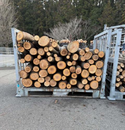 1週間お休みをいただいておりました。
延べ5日間東かがわ市の五名で過ごしておりました。
巡のポップアップも大いに盛り上がったようです。時々様子を見に戻りましたが、たくさんの方に応援していただき、たくさん温かい言葉をかけていただき響くんも頑張りすぎくらい頑張っていたようで嬉しい限りでした。お越しいただいた皆さん本当にありがとうございました。

今回の旅の振り返りは写真や動画だけだと生々しいので、一部イラストにて🐗

旅の1番の目的は猪や鹿の狩猟と解体を見せていただくこと。おかげ様で数日に分けて全工程を見せていただくことができました。初めての経験でしたので寒い中でしたがじわりと色んな汗をかきました。

その他にも山仕事、自然の中で地の食材を食べる飲むこと、たくさんの方との出会いがありお話をいっぱい聞かせてもらいました。🍶
本当に良い休日が過ごせました。

薪割りチャレンジ、数日前にこの作業で弾けた木片があごに直撃前歯を4本折った方のお話を聞いた直後ゆきちゃん、いい顔してます。

書きたいことは山ほどありますが長くなりそうなので、
是非お店でお会いした時にお話させてください。
明日1/20（火）より通常営業です。
ご予約状況もまだまだスカスカですので是非ご来店お待ちしております。