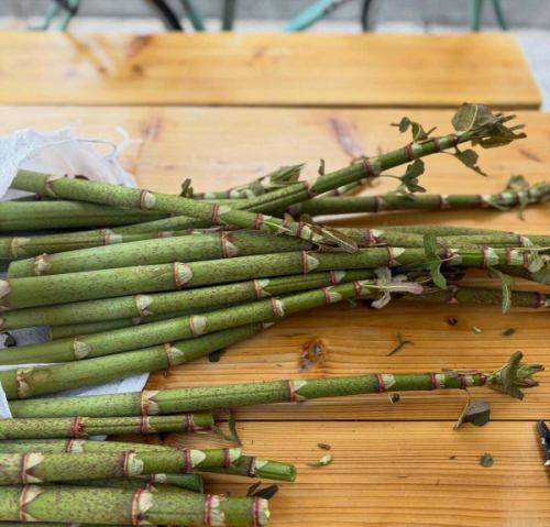 今週末はヒサモト酒祭り🍶
@hisamotosaketen 

当店も屋外ブースにて、
酒の肴いろいろと燗酒を提供させていただきます。
嬉しいことに山菜の美味しい期間に突入中で
筍、イタドリ、フキにわらび…などなど、山菜おかずと、定番のおつまみを詰め合わせた酒肴弁当miniも販売予定。お持ち帰り分もご用意致します🍱

蔵元に会って話を聞きながら試飲ができる貴重なチャンス…

ミヤモト惣菜店も日頃お世話になっている蔵元ばかりで、気合いが入っております。
皆様、日曜日は友達100人と親戚一同お誘う合わせの上、久本酒店まで。

とき・2026年4月19日（日）11時～16時
ところ・久本酒店 香川県高松市上天神町768-2
★試飲＆即売会
★参加蔵元による試飲約25種！
★人気飲食店との特設角打コーナー有
★参加費 ¥500・キャッシュオンリー・各種1回試飲
★店内・日本酒有料試飲ブース
●諏訪酒造【鳥取県・銘柄：諏訪泉】
@suwakura
●太田酒造場 【鳥取県・銘柄：辦天娘】
@bentenmusume.sake 
●辻本店【岡山県・銘柄：御前酒】
@gozenshu
●三冠酒造【岡山県・銘柄：三冠】
@sankanshuzo
●成龍酒造【愛媛県・銘柄：賀儀屋】
@seiryo1877 
★屋外・Foodブース
●ミヤモト惣菜店
@miyamoto.souzaiten
・酒肴プレート日本酒
●SABIサビ @sabi_greentea
•日本茶
●Krunクルフ
@kruh_takamatsu
雨天決行！！
＃ヒサモト酒まつり ＃酒屋＃香川県 ＃日本酒 ＃試飲会
