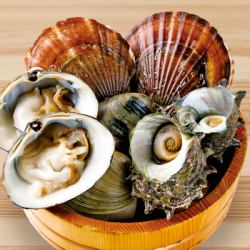 Assorted grilled live shellfish (regular size)