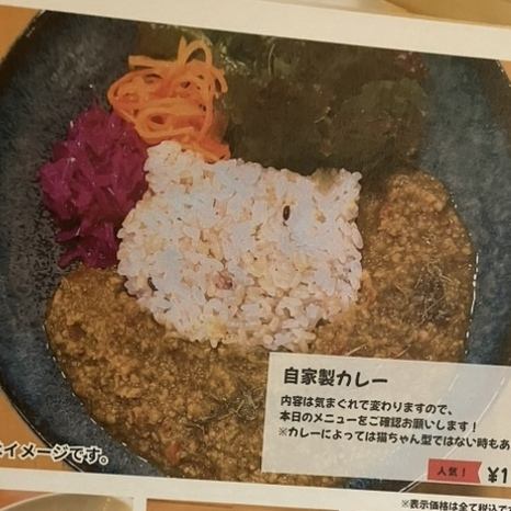 自家製カレー