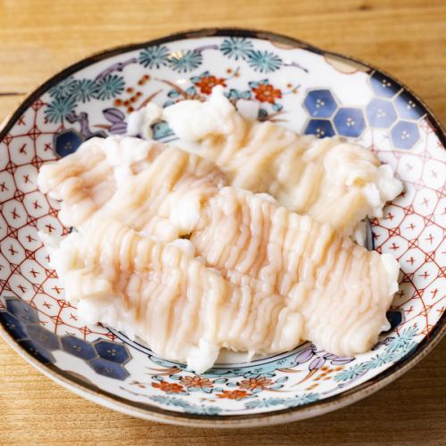 シマチョウ
