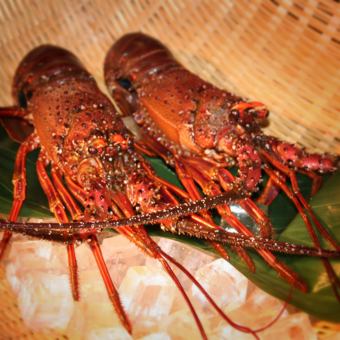 お得な飲み放題パック〈2名様より〉　18,000円（税込・サ別）　伊勢海老の特別コース