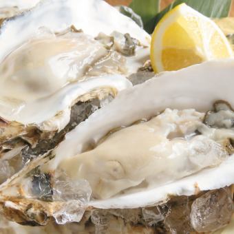 Raw oyster (1 piece)