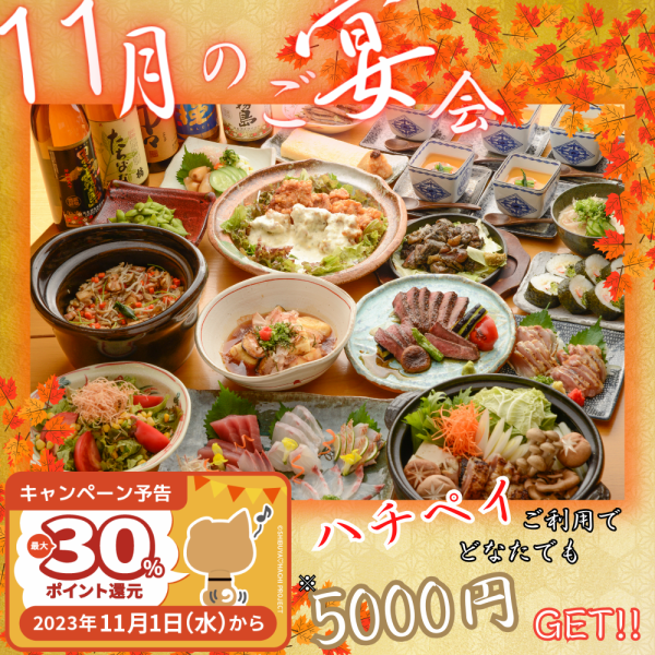 【包含2小时无限畅饮】主菜是宫崎县的鸡肉tataki和鸡肉南蛮♪日向套餐