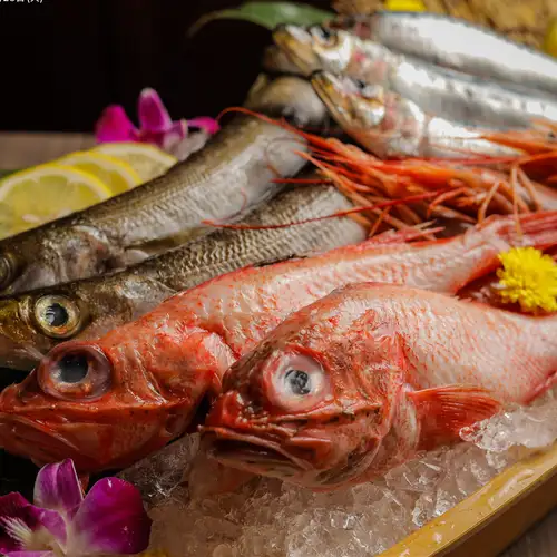 本日の鮮魚