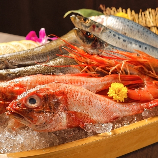 【鮮度抜群の海鮮】料理長厳選の旬魚も日替わりで提供してます