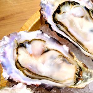 Raw oysters