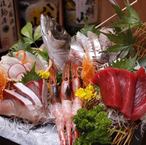 Assorted 5 omakase sashimi