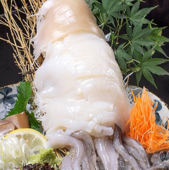 Sado offshore real squid sashimi