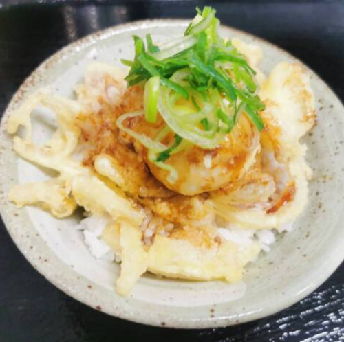 てん卵丼