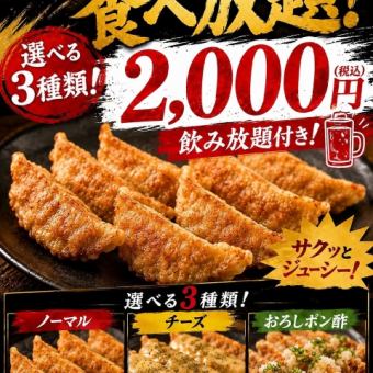 【学生コース】3種類の揚げ餃子が食べ放題!おつまみ、120分ライトプラン飲放付全4品2000円(税込)