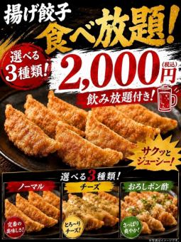 【学生コース】3種類の揚げ餃子が食べ放題!おつまみ、120分ライトプラン飲放付全4品2000円(税込)