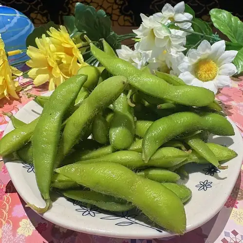 枝豆