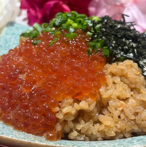 【名物】宮城亘理の郷土料理 鮭といくらのはらこ飯