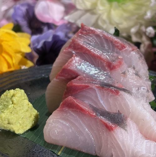 本日刺身