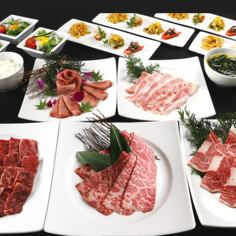 【輝(かがやき)コース】塩タン・ロース二種・ハラミなど全10品×100分飲み放題