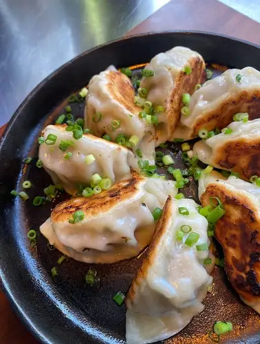 博多鉄板高菜餃子