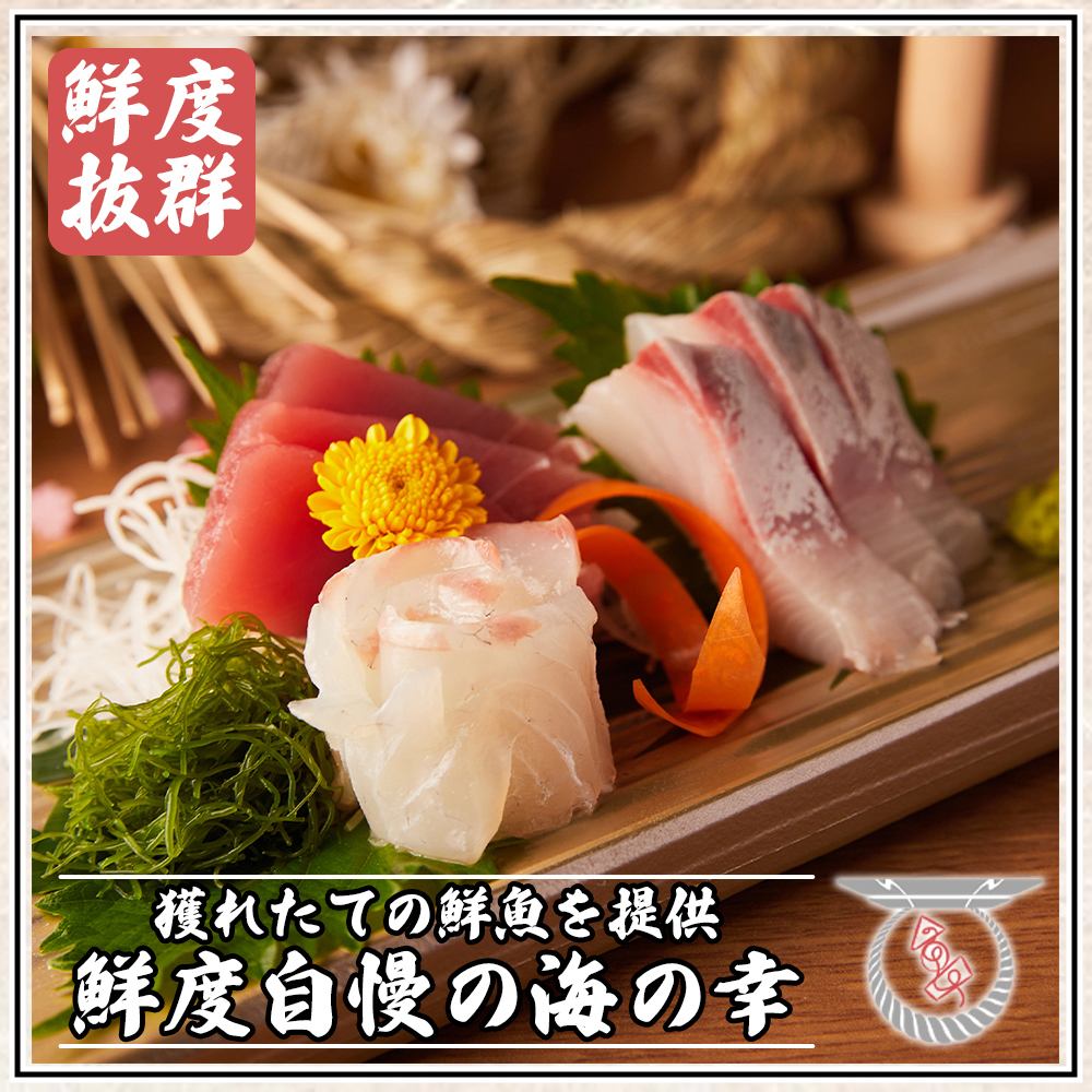 【旬の味覚が勢揃い】厳選された産地から取り寄せた新鮮な食材