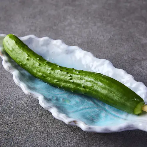 胡瓜の一本漬け