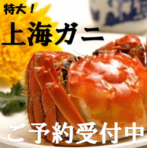 Extra large!! Now accepting reservations for the Shanghai Crab welcome and farewell party!