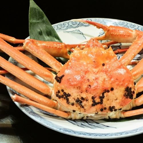 新潟産にこだわる【活ズワイガニ】※時価