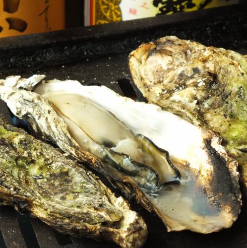 Hiroshima prefecture oyster