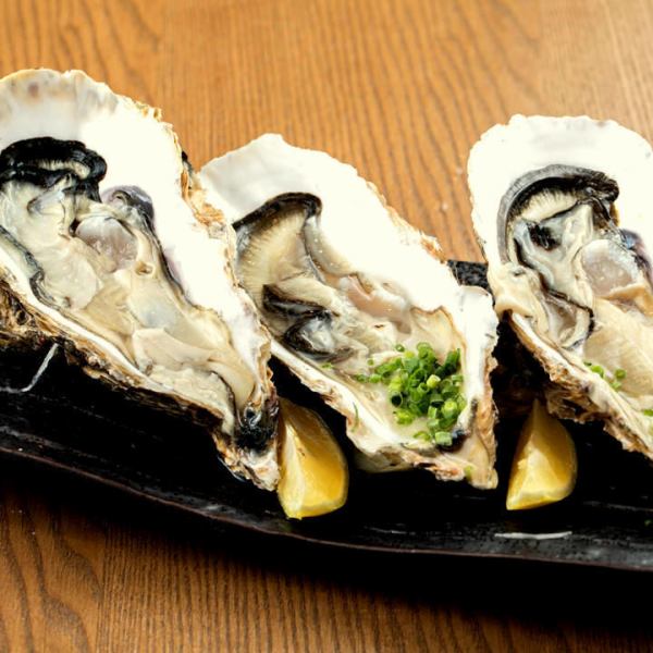 [Safe and secure!Oysters] Raw oysters or grilled oysters