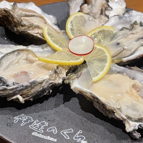 【安心安全自慢！牡蠣】生牡蠣 or 焼きガキ