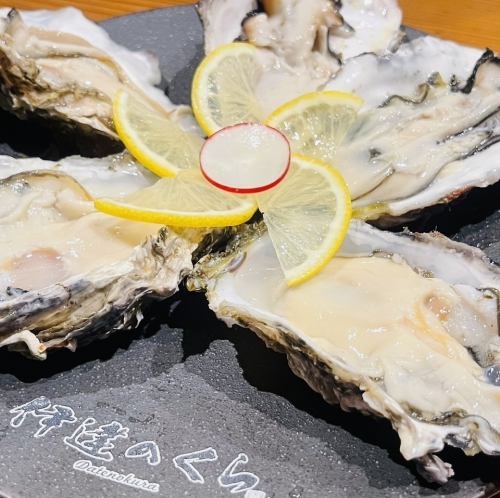 Fresh! Plump oysters from Sanriku